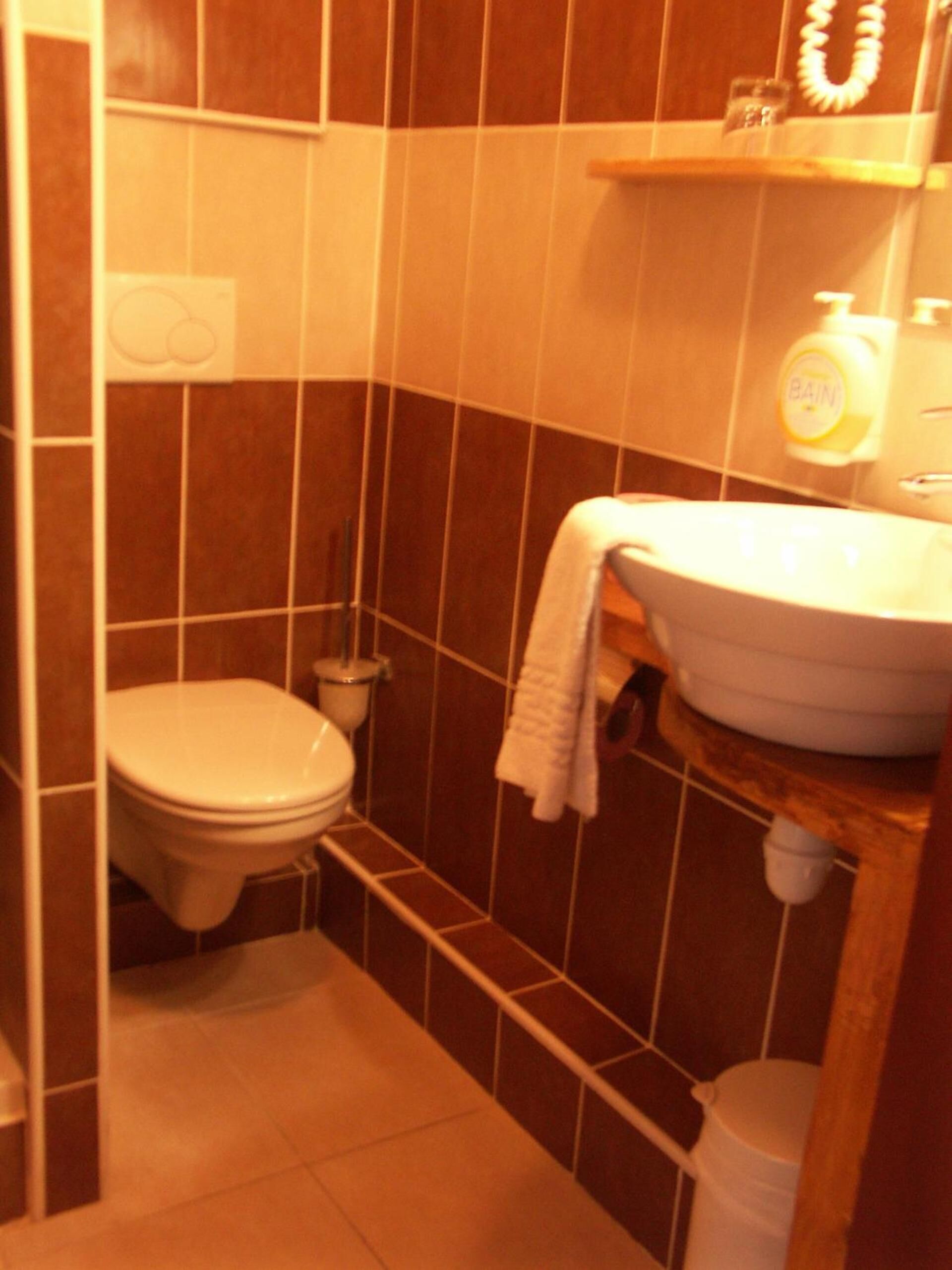 A small bathroom with a toilet, a sink, and a shower.