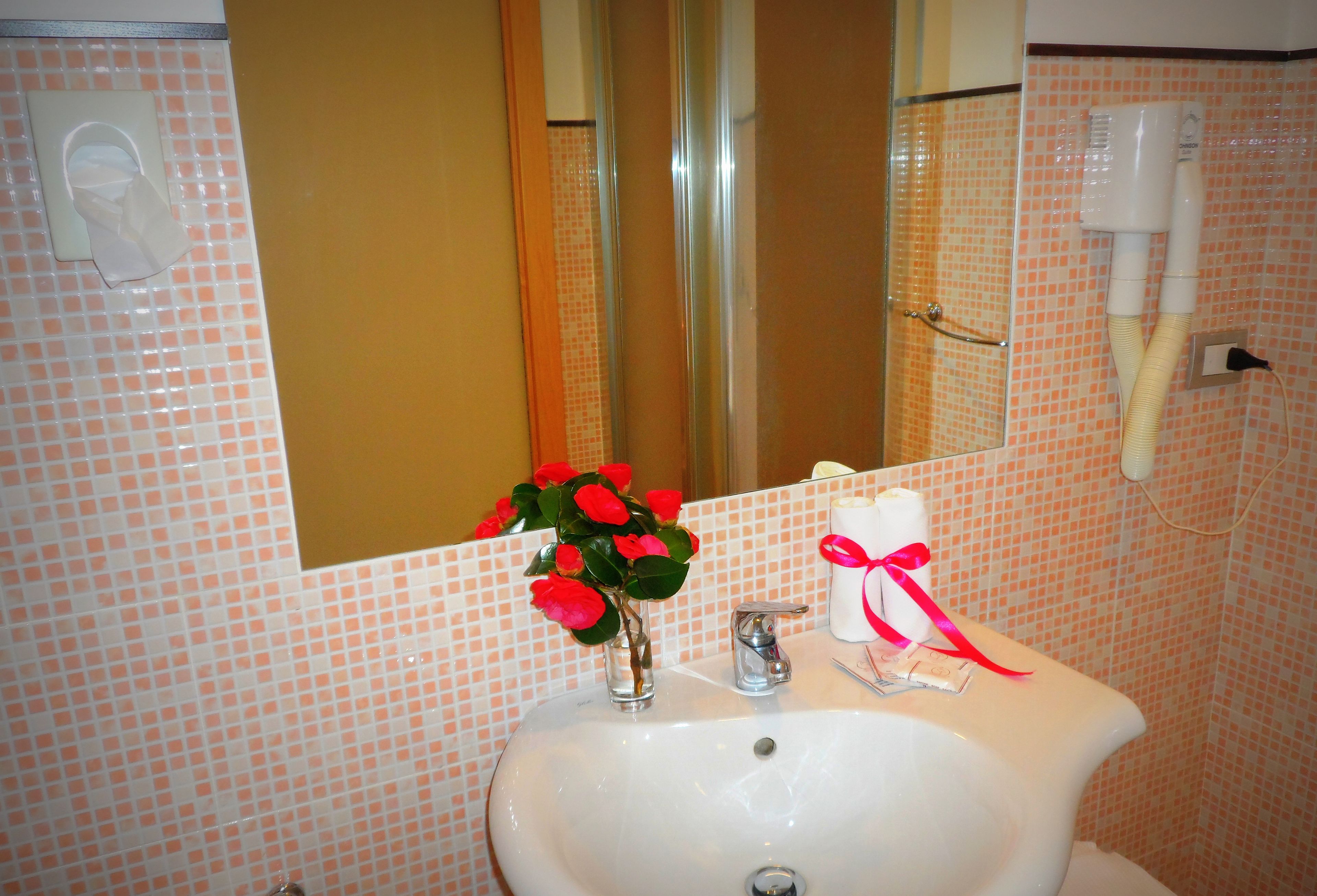 standard single room | bathroom sink