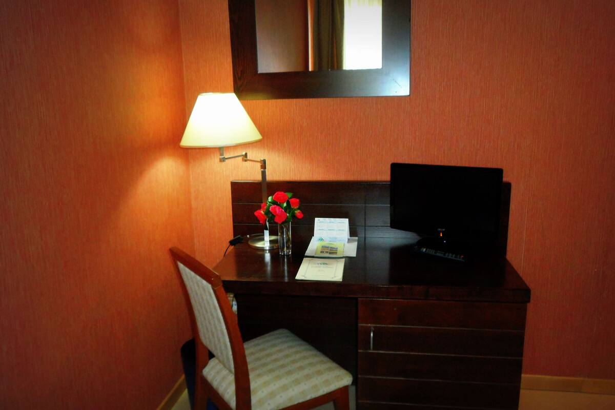 Standard Single Room | In-room business center