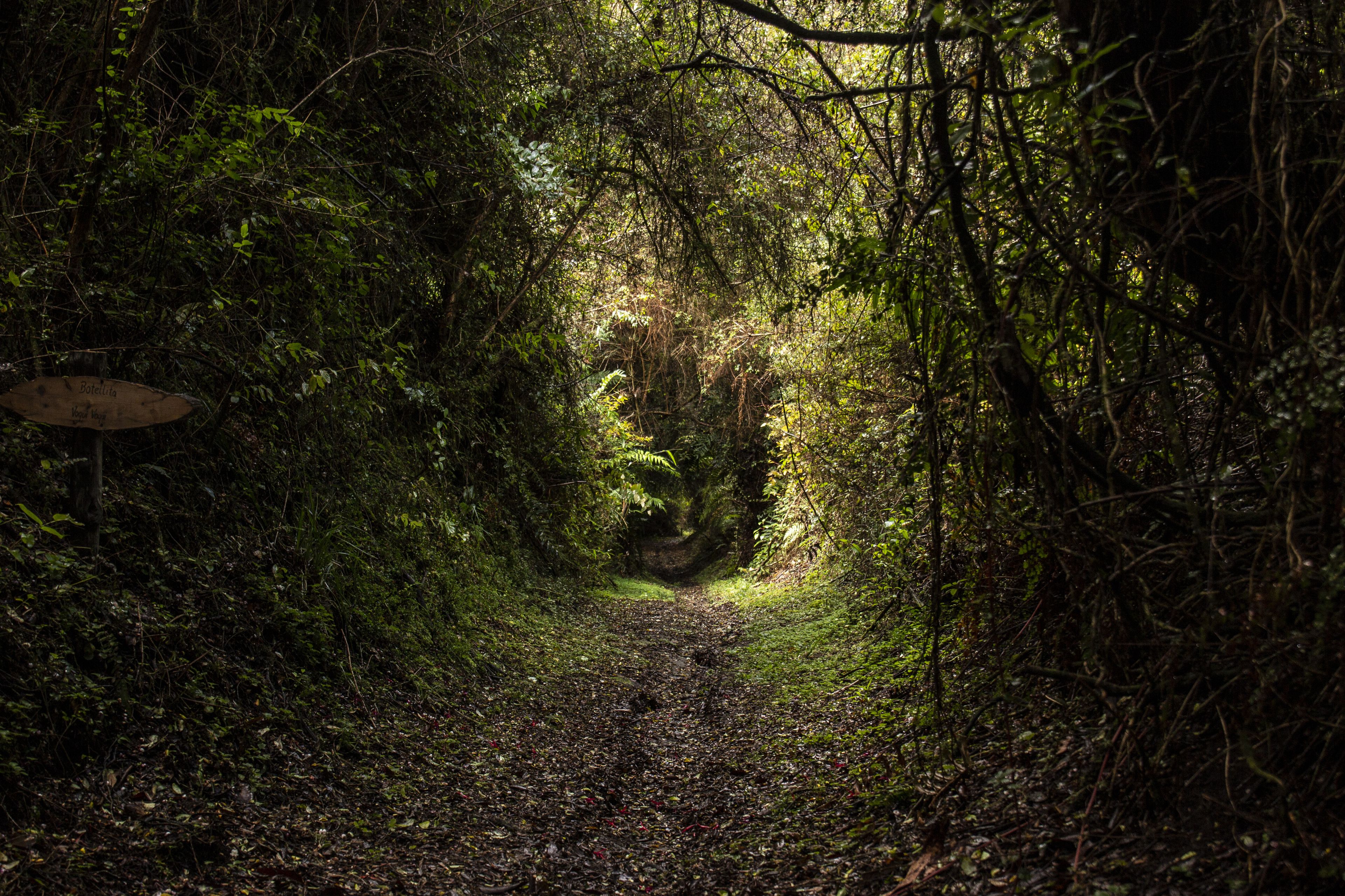 children’s play area – outdoor