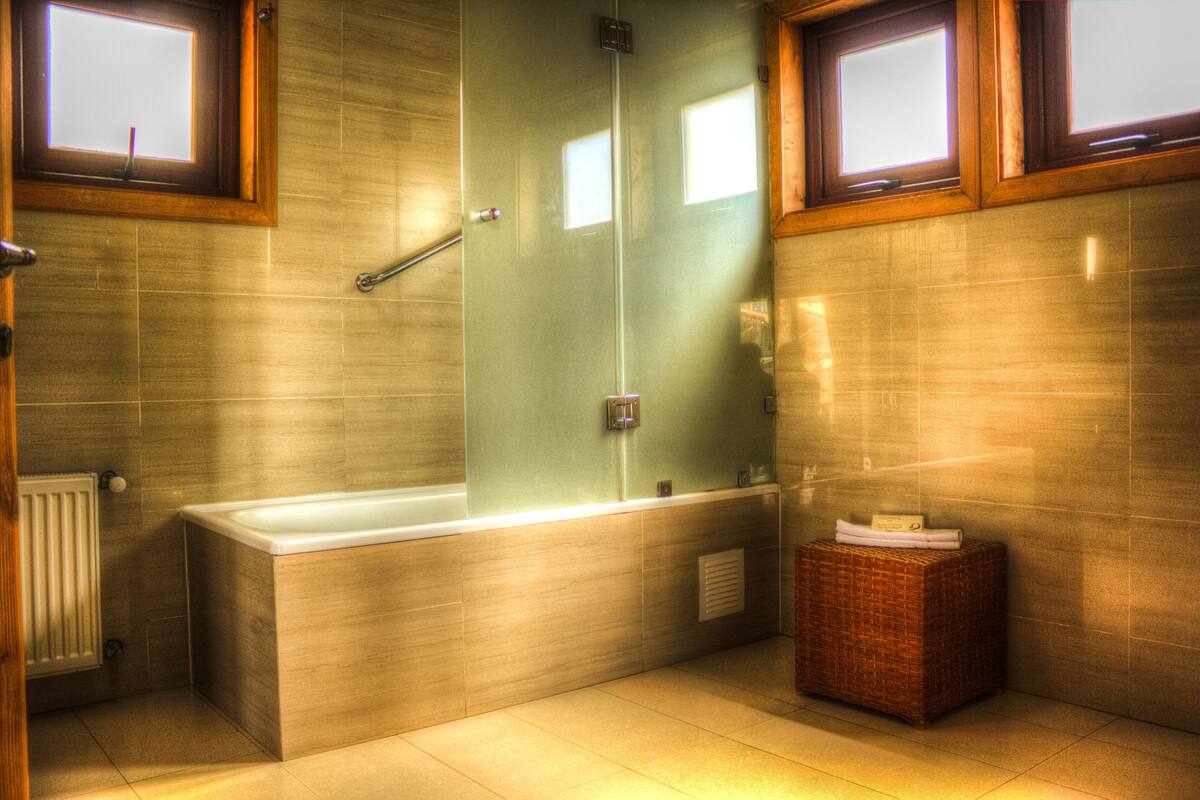 family suite | bathroom shower