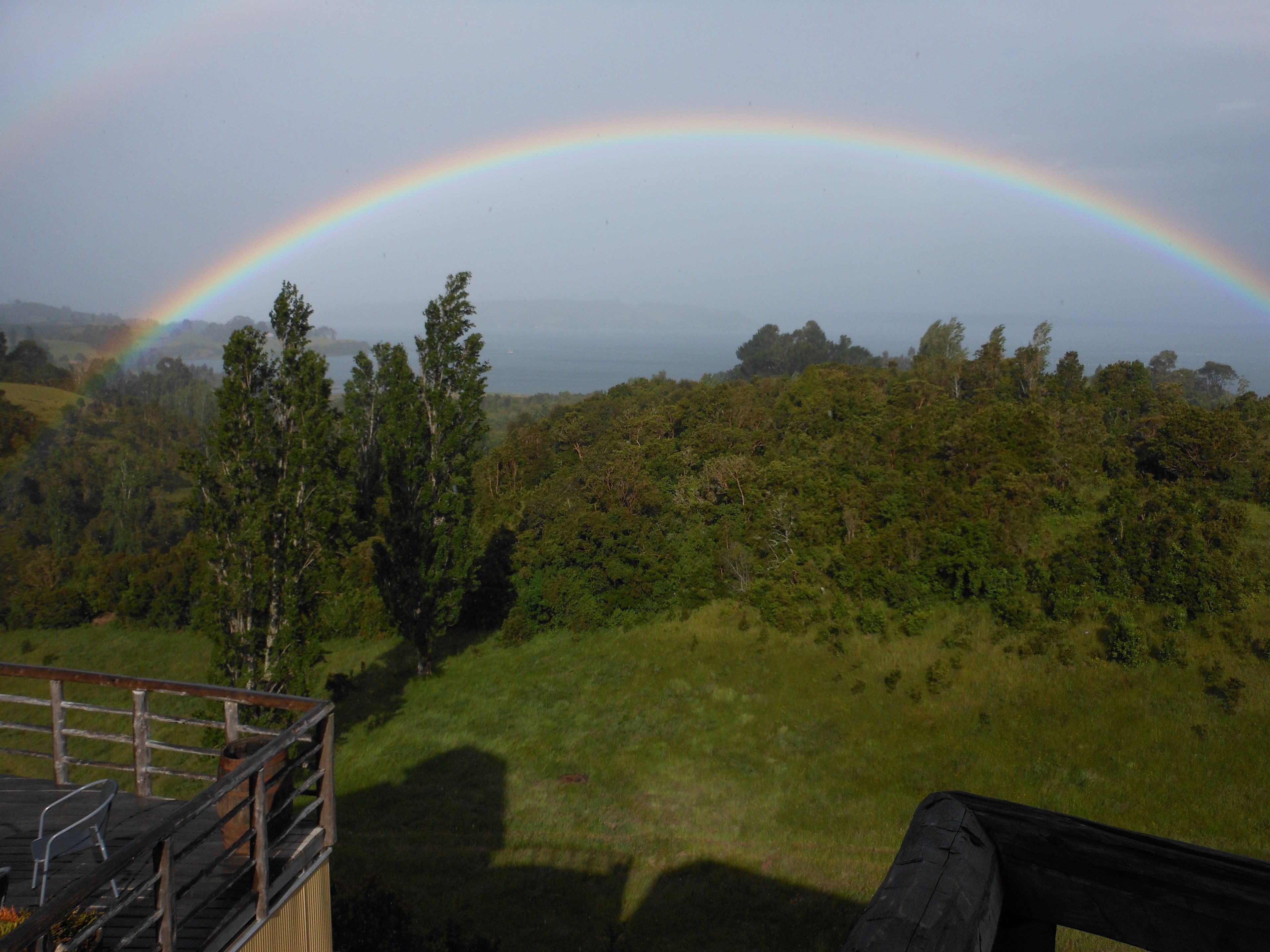 A view of a lush green landscape with a rainbow arching over a forested area.