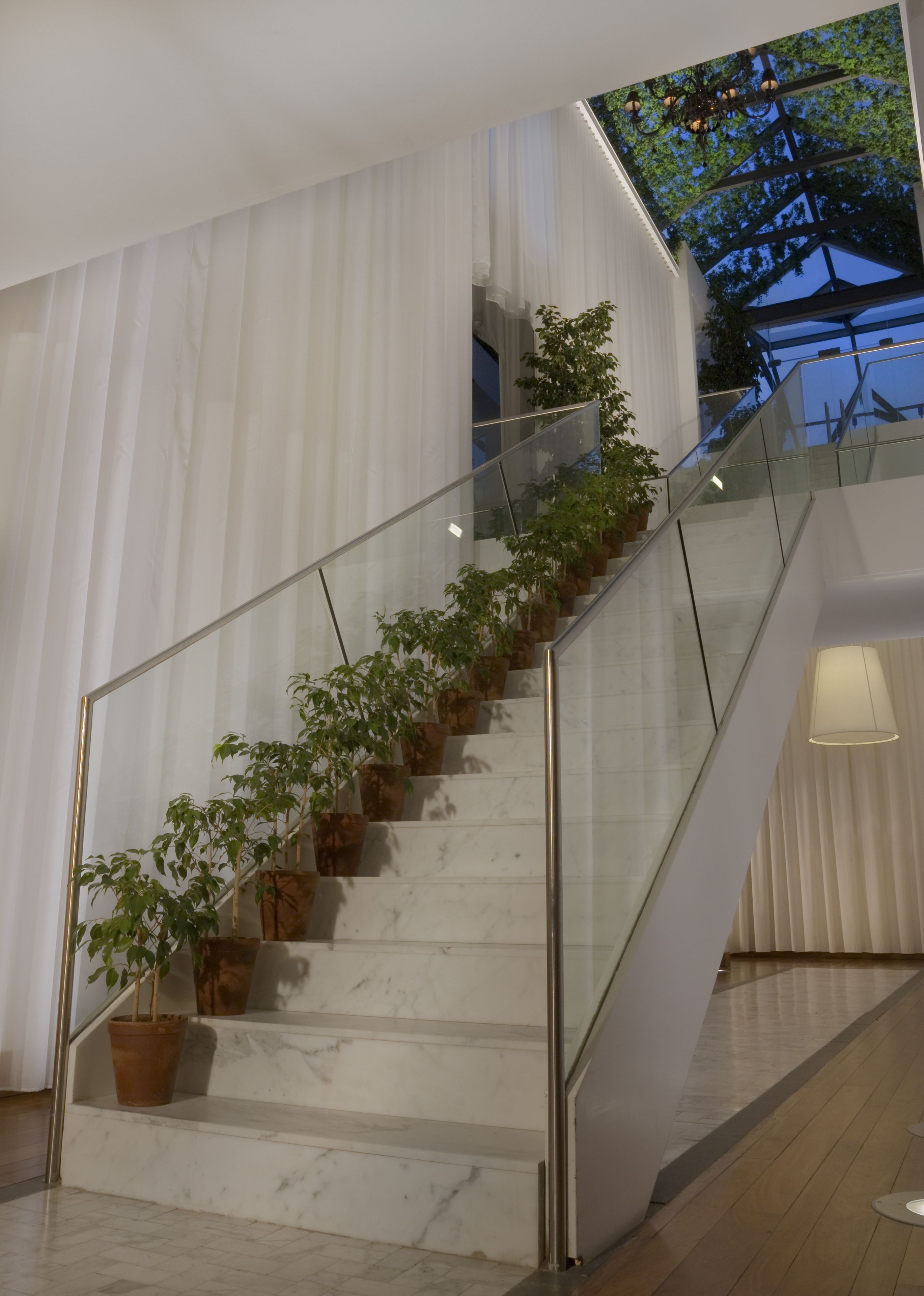 Una escala moderna amb baranes de vidre, plantes en testos i vistes a arbres a través d'una finestra.