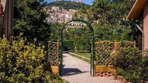 Unclassified image, 2 of 75, button - Hotel Bellavista (Assisi)