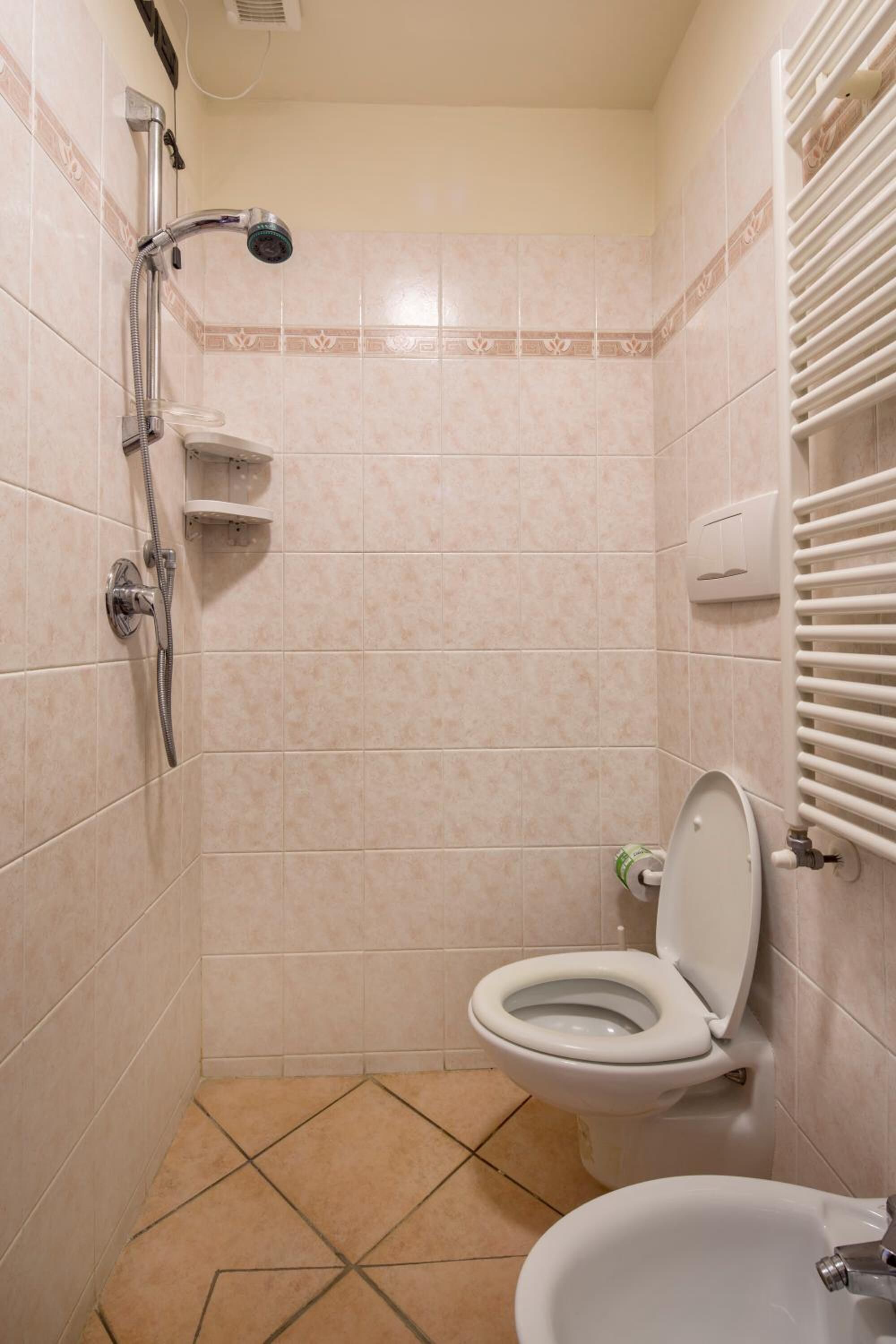 free toiletries, hair dryer, bidet, towels