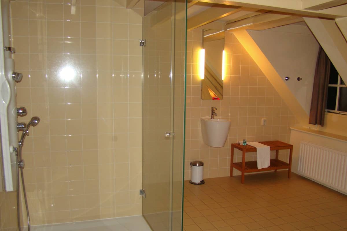 Deluxe Double Room (Massage Shower) | Bathroom
