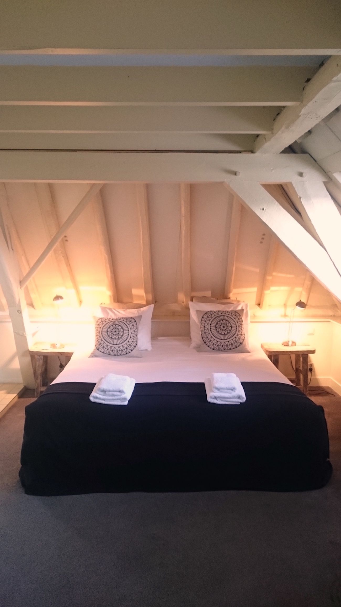 deluxe double room (massage shower) | down duvets, blackout curtains, iron/ironing board, free wifi