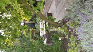 Unclassified image, 5 of 72, button - Hotel de Tabaksplant (Amersfoort)