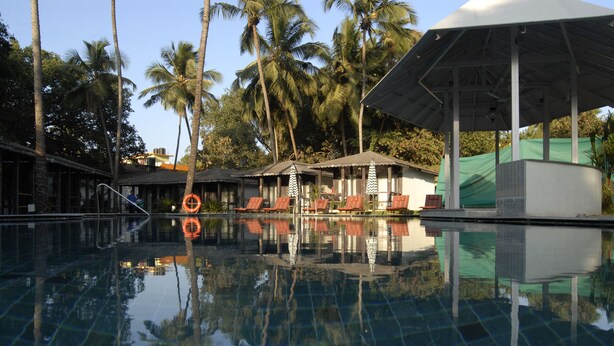 A clear swimming pool with lounge chairs and umbrellas, surrounded by palm trees and a covered pavilion. - 19Belo Cabana (Calangute)