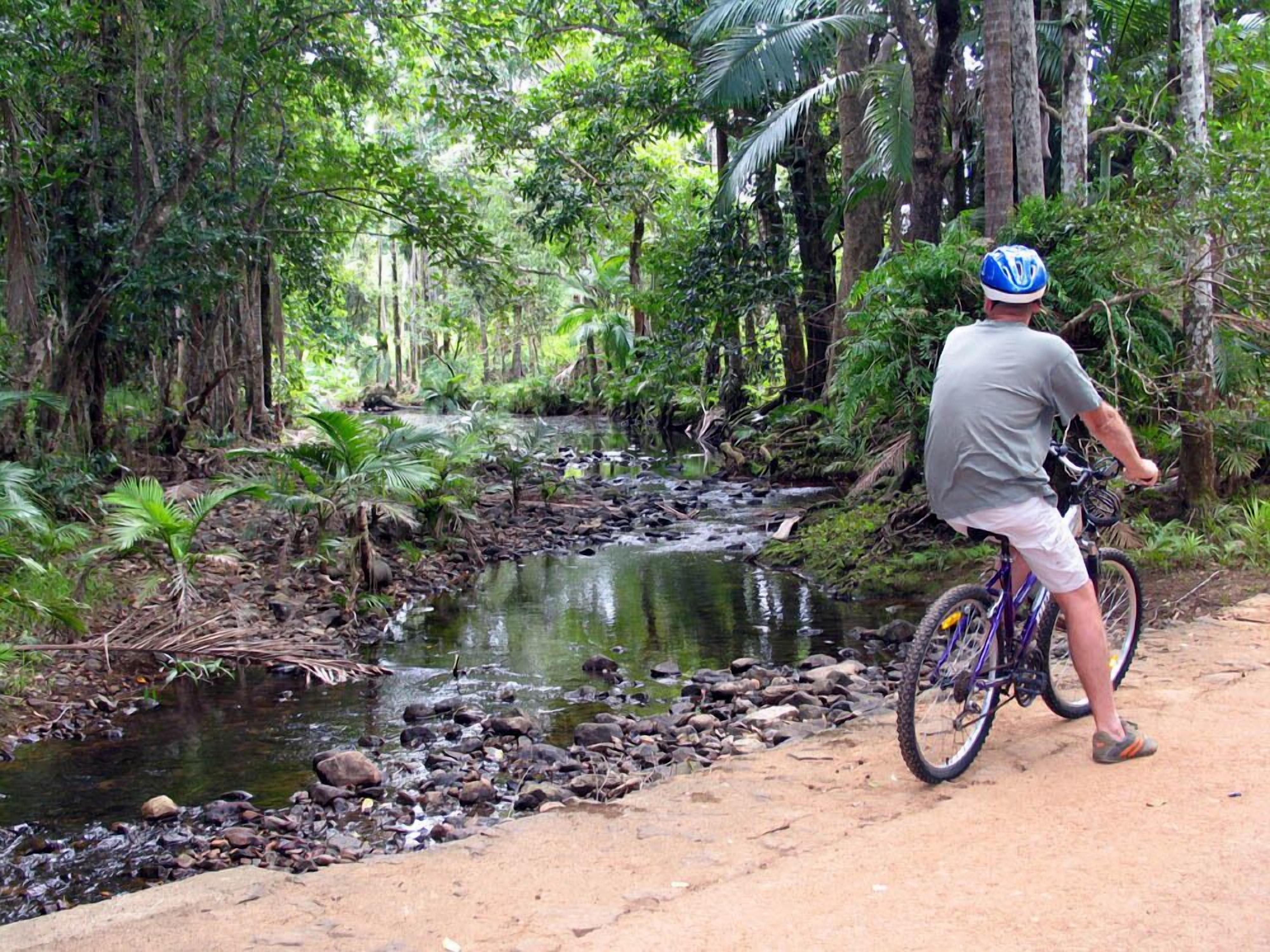 Seclude Rainforest Retreat — image 30