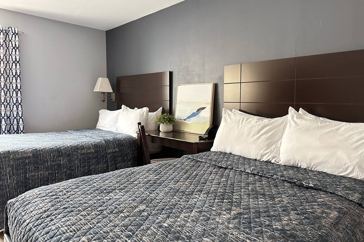 A hotel room with two beds, a nightstand with a lamp, a framed picture, and a small plant.