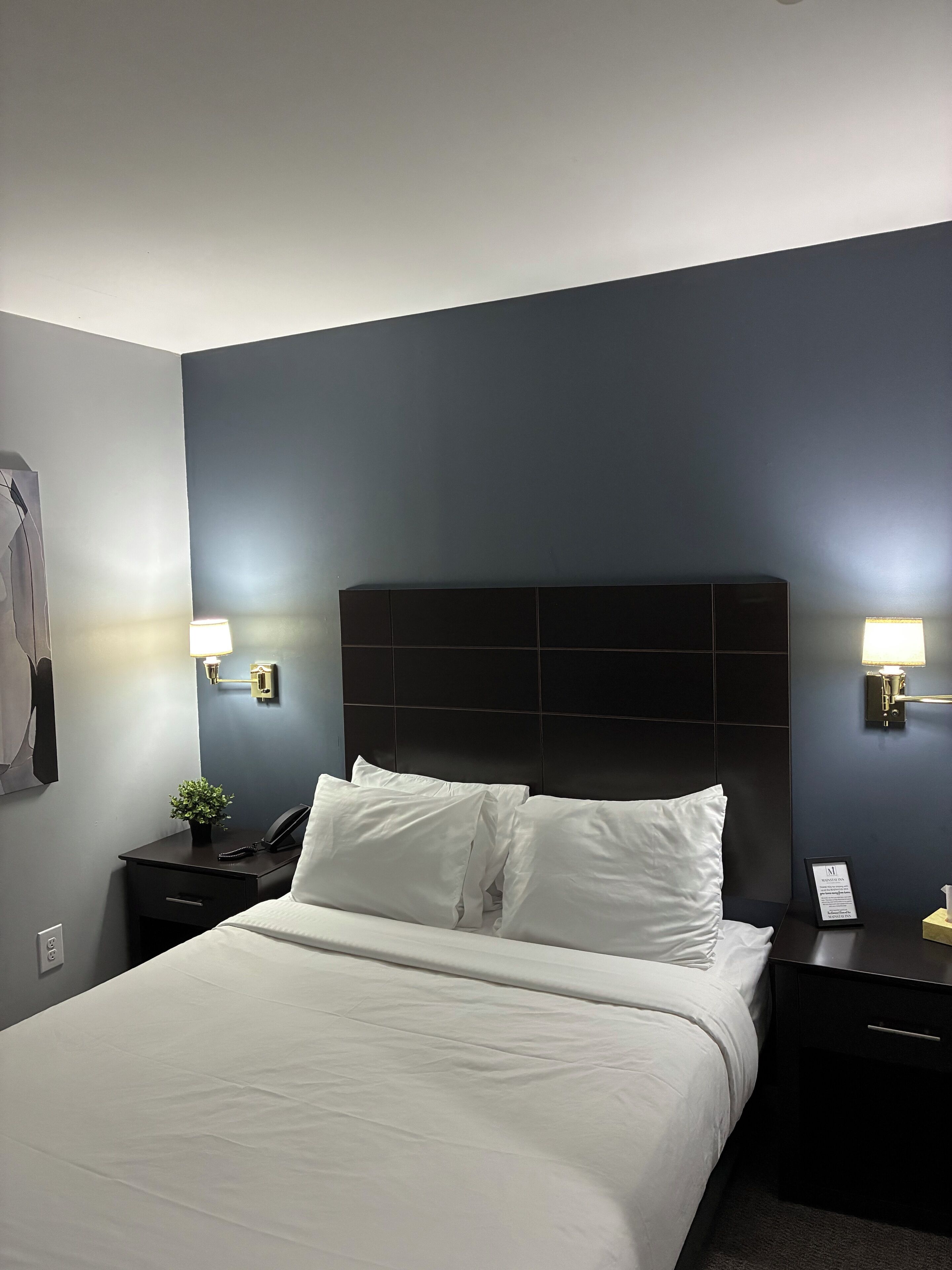 Habitación de hotel con una cama grande, dos mesitas de noche, una lámpara de pared y una pequeña planta en maceta.