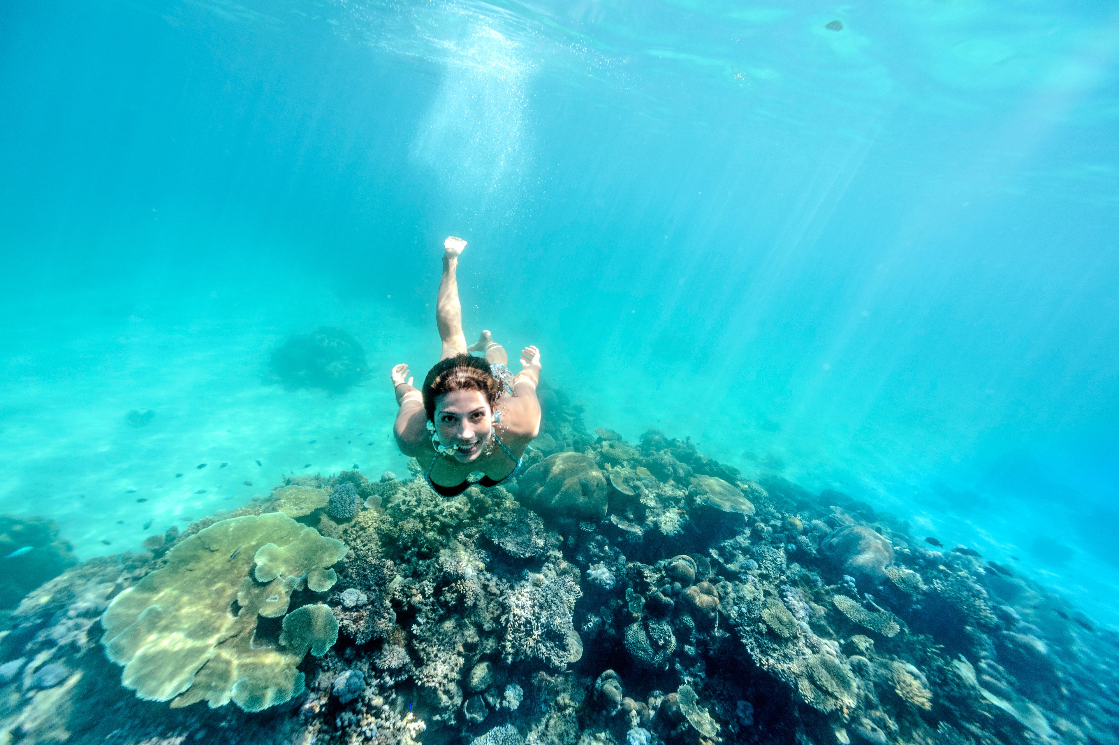 A person swimming underwater with a coral reef in the background.