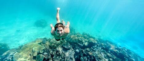 A person swimming underwater with a coral reef in the background.