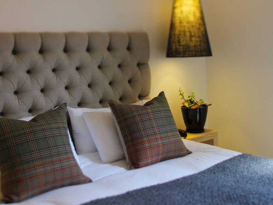 A neatly made bed with a tufted headboard, two plaid pillows, and a bedside table with a lamp and a potted plant.