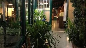 Un pasillo interior con un muro de cristal, plantas en macetas y bancos de madera.