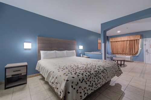 Weslaco Inn Weslaco/Mercedes