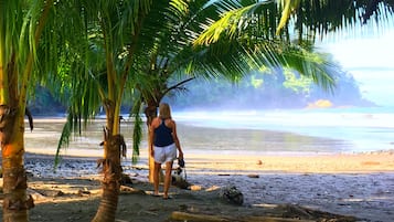 Pantai di sekitar, kursi berjemur, dan handuk pantai