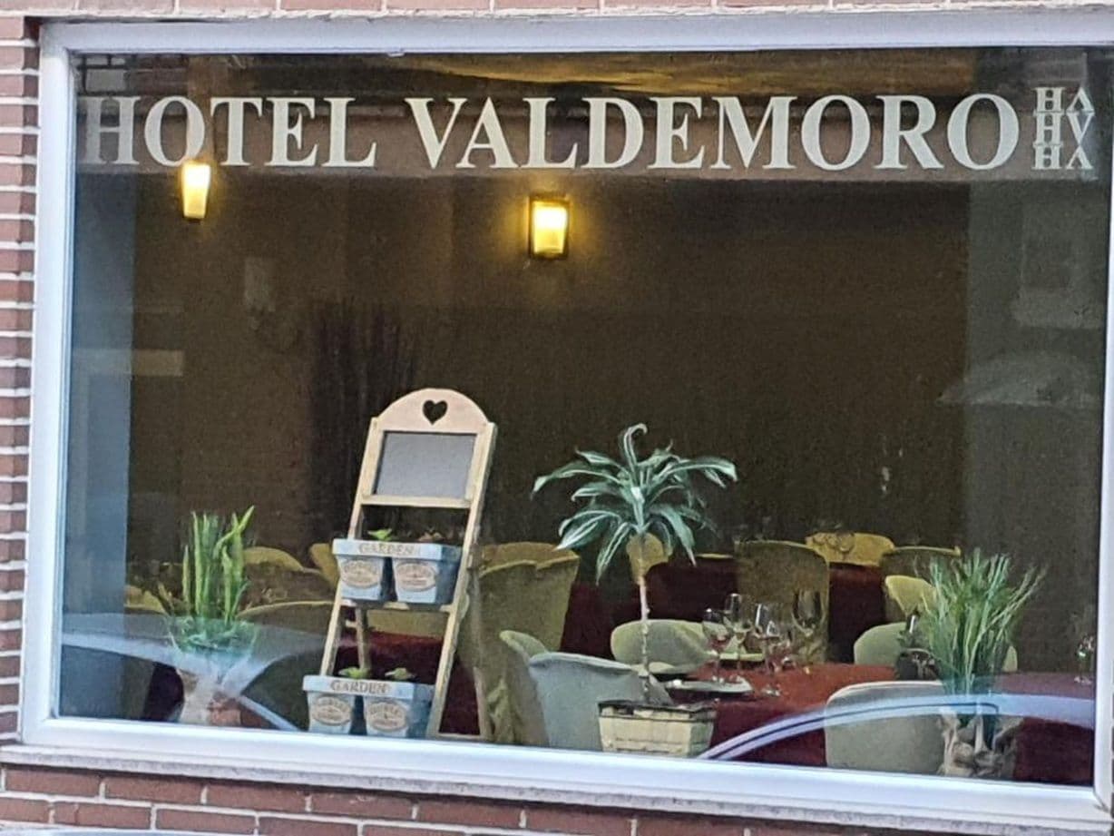 Une fenêtre d’hôtel portant l’inscription « HÔTEL VALDEMORO », avec une exposition de plantes et une échelle.