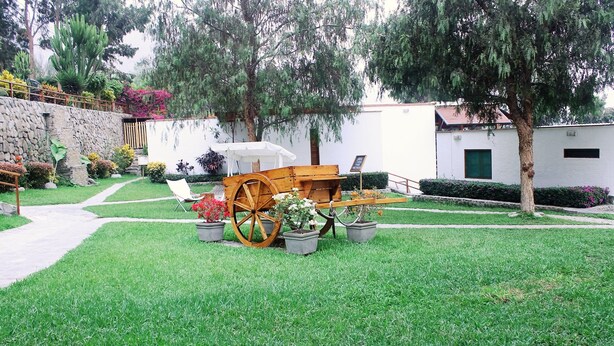 Ein gepflegter Garten mit einem Holzwagen, Topfpflanzen und einer Steinmauer.