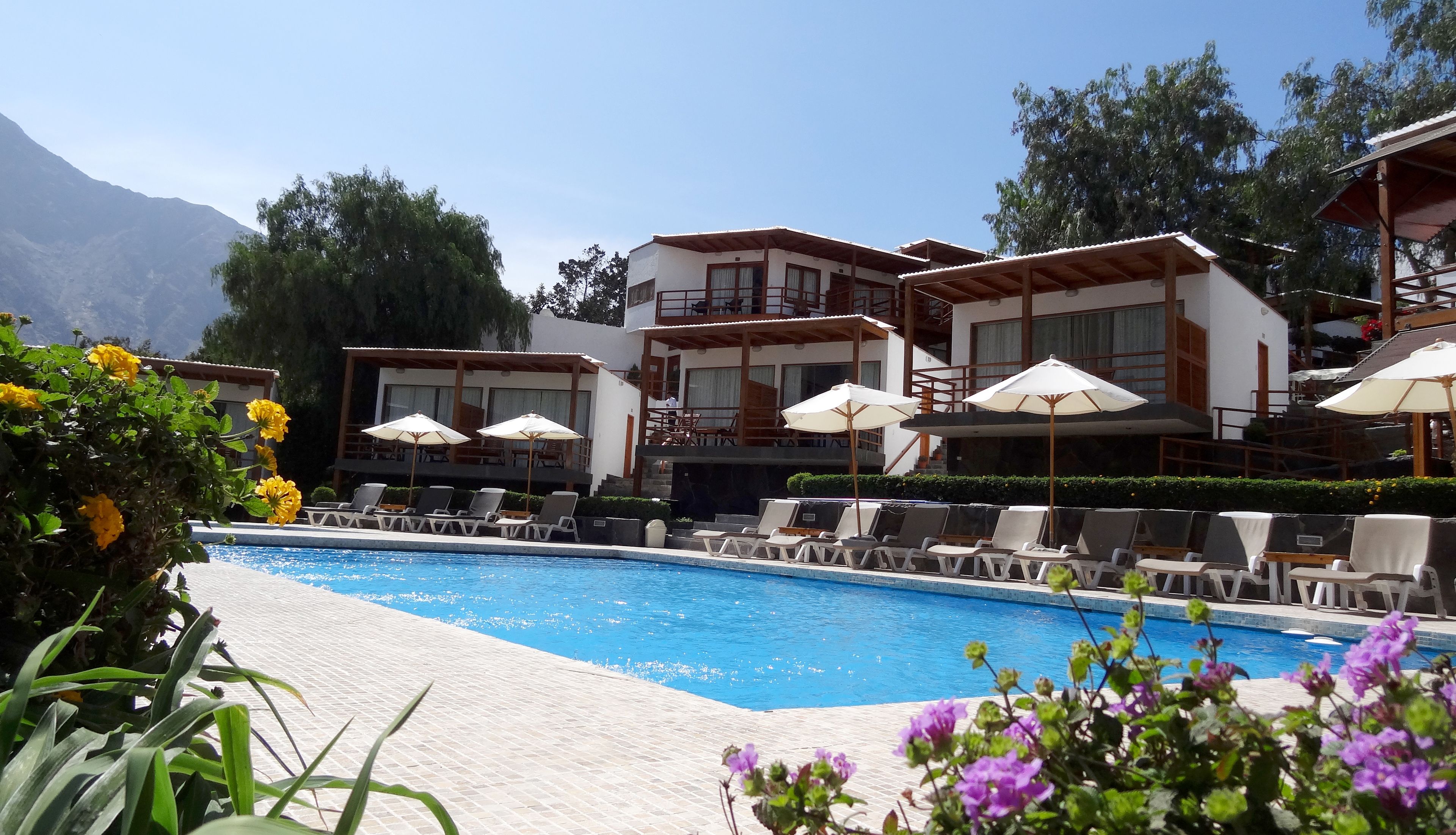 Piscina all'aperto, ombrelloni da piscina, lettini