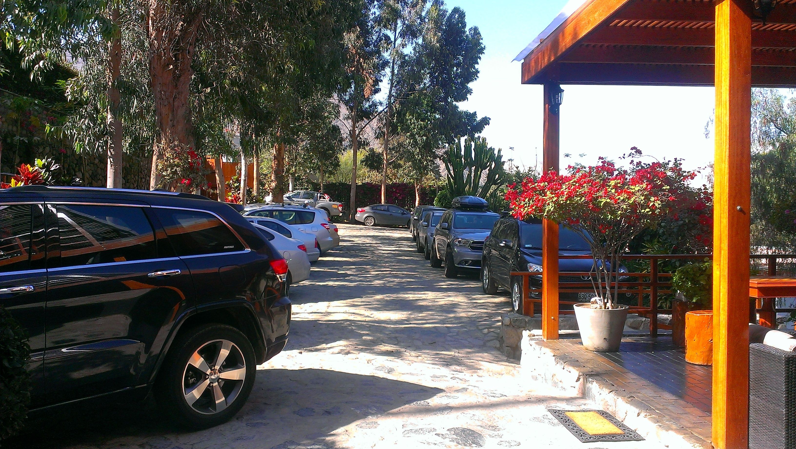 A parking area with several parked cars, a covered seating area with potted plants, and a pathway lined with trees.