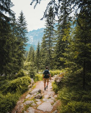 Uma pessoa caminhando por um caminho de pedra, rodeada por uma floresta densa e montanhas ao fundo.