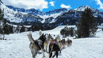 Un attelage de chiens de traîneau tirant une luge à travers un paysage enneigé, avec des montagnes en arrière-plan.