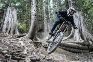 Ciclista de montanha percorrendo uma trilha em meio a árvores altas e obstáculos de madeira.