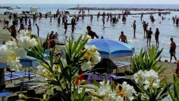 Una playa con gente nadando y tomando el sol, sombrillas y sillas.