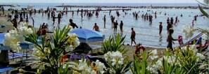Beach nearby - Hotel Candido (Diano Marina)
