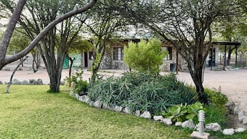 Comfort Twin Room | Garden view