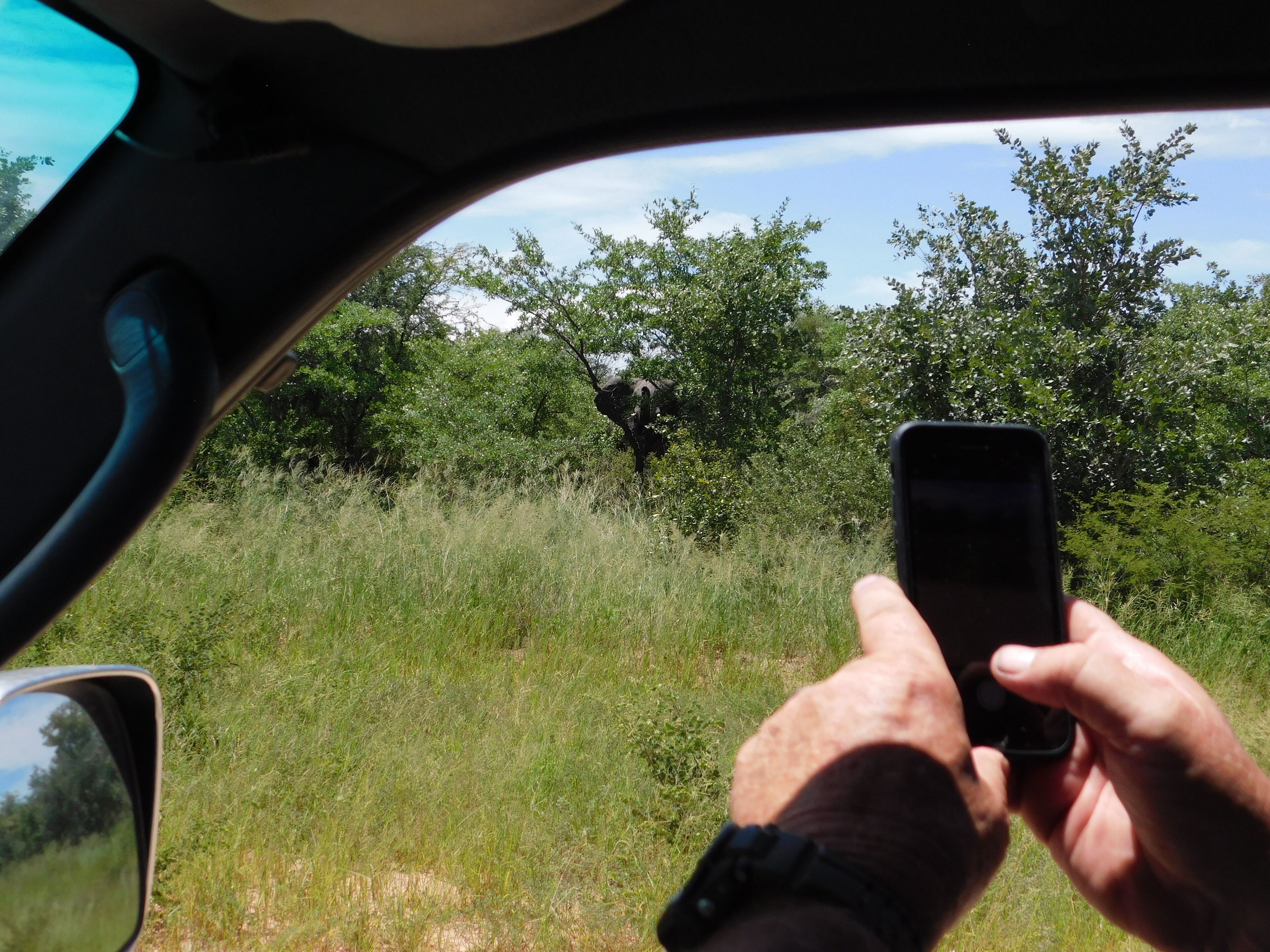 A person holding a smartphone, likely taking a photo or video, with a view of a grassy field and trees through the car window.