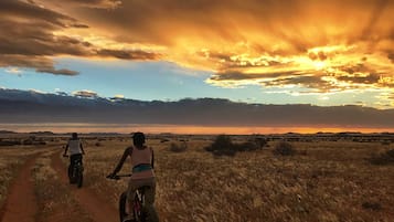 Un sendero polvoriento en un paisaje desértico con el sol poniéndose al fondo.