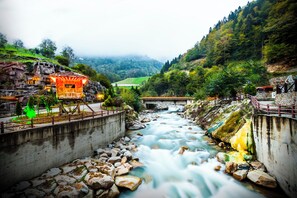 Vista desde la propiedad