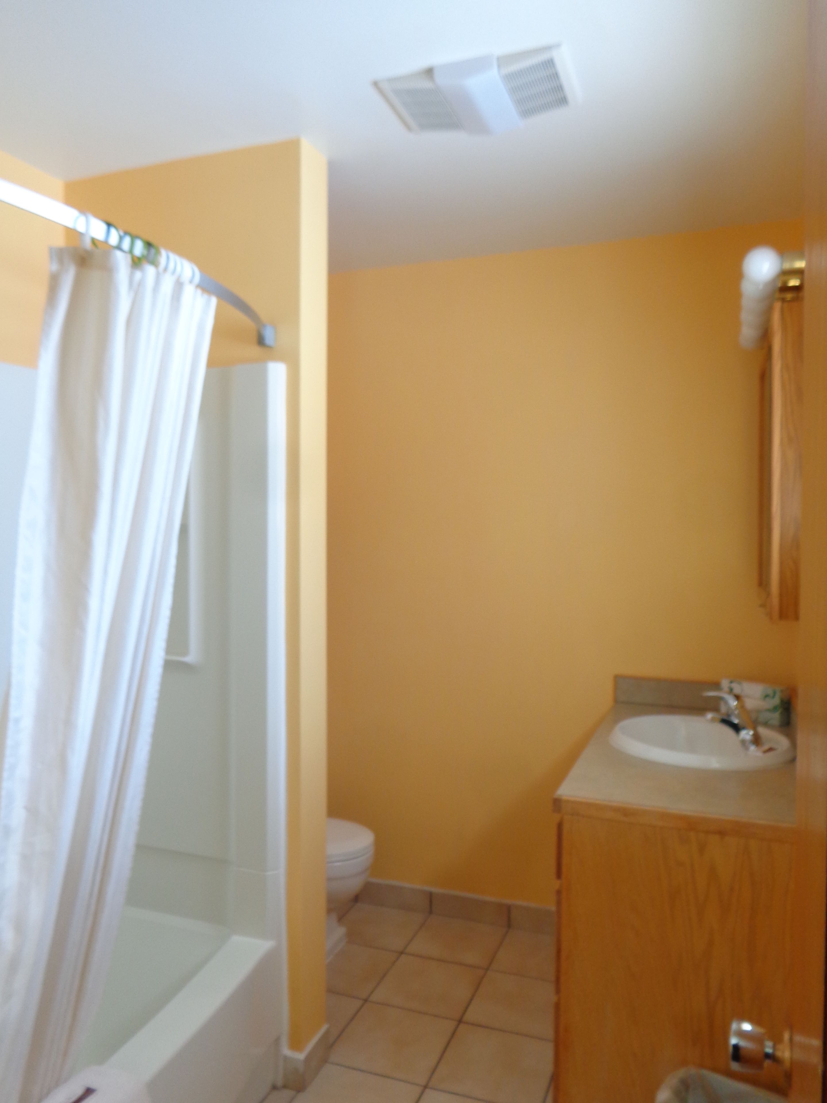 A bathroom with a shower, toilet, and sink.