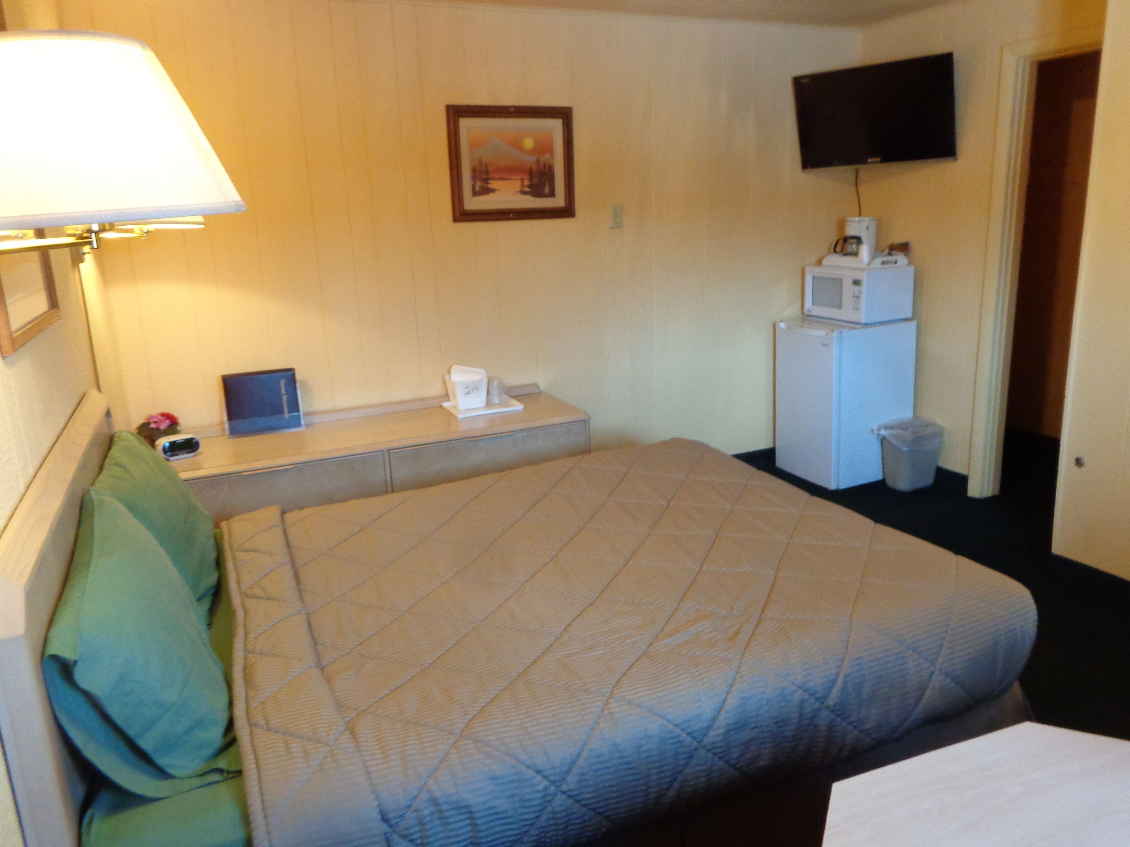 A hotel room with a bed, a desk, a television, a microwave, and a trash can.