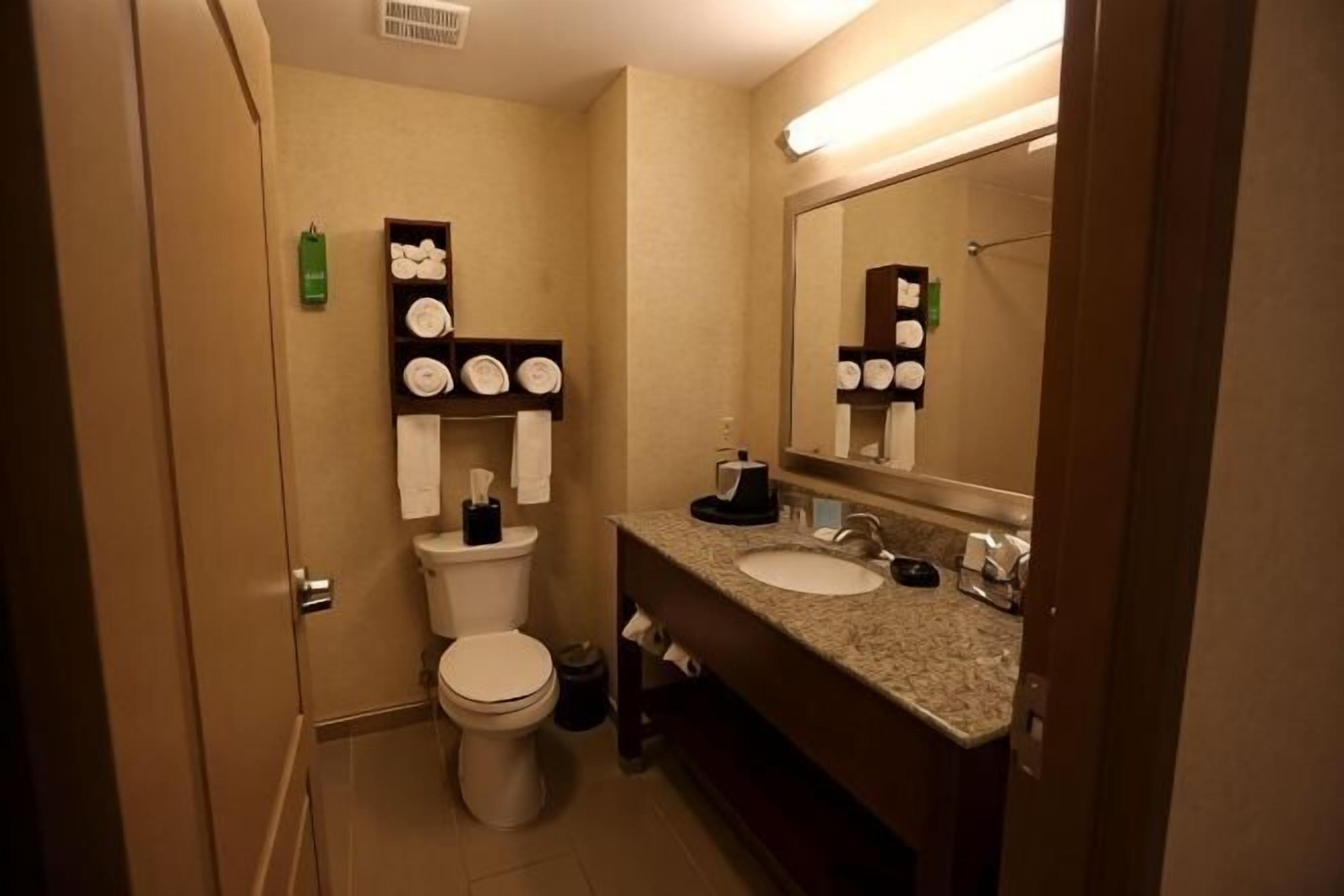 Bathroom | Combined shower/tub, free toiletries, hair dryer, towels