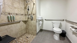 A bathroom with a shower, toilet, grab bars, and a small bench.