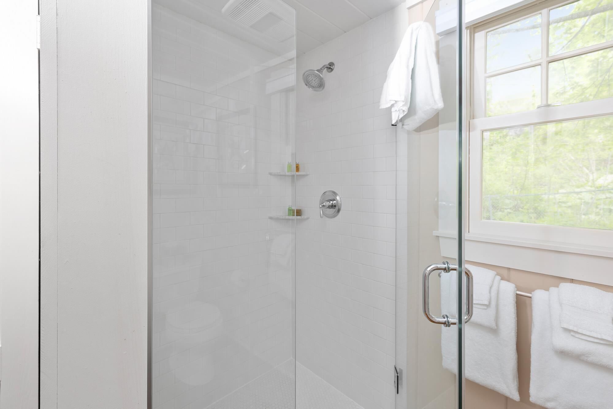 A glass-enclosed shower with a rain showerhead, a glass door handle, and a window with a view of greenery.