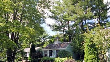 Une maison avec une allée en gravier, entourée d’une végétation luxuriante et d’arbres.