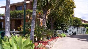 A residential area with a paved driveway, a white picket fence, and various plants including palm trees and large green foliage. - Harbour Lights Holiday Units (Merimbula)