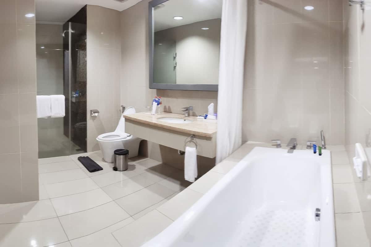 presidential suite, 1 king bed | bathroom | shower, free toiletries, hair dryer, slippers