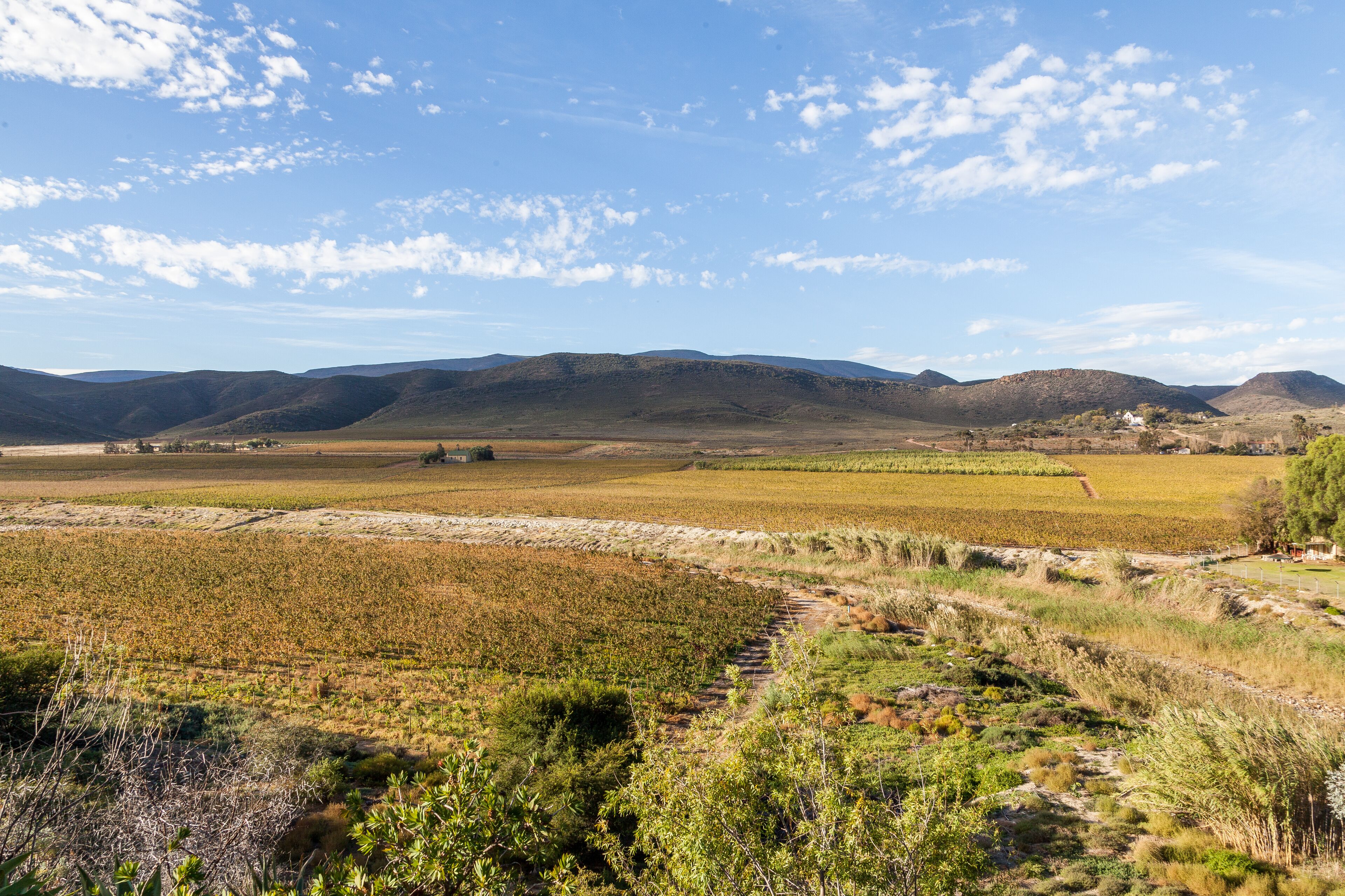 A rural landscape with fields, a dirt path, and distant hills.