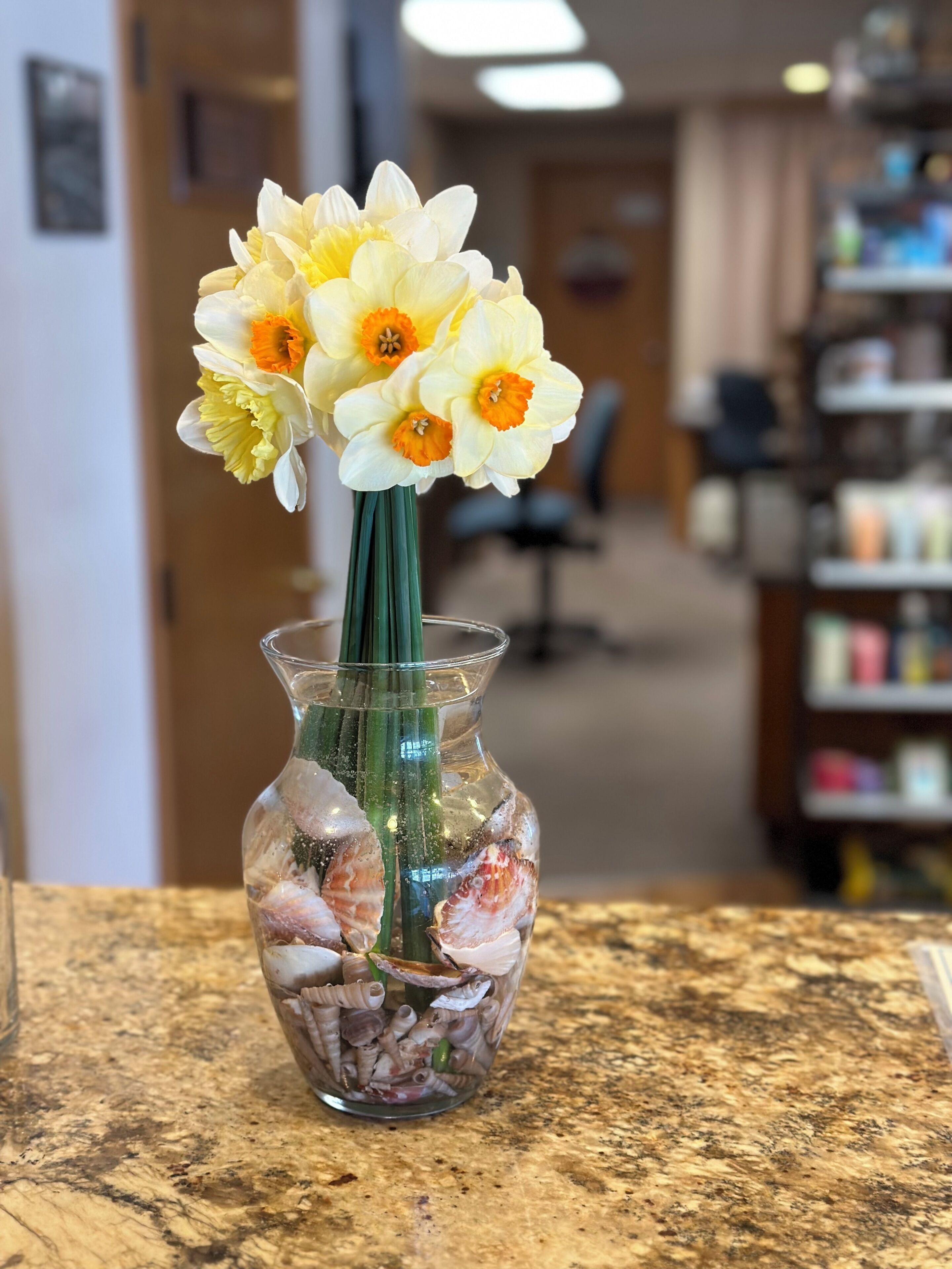 A vase with daffodils and seashells on a wooden surface.