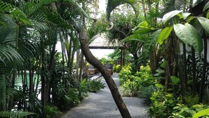 View from property - Anginsepoi Villa (Tabanan)