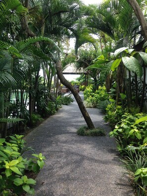 Quang cảnh nhìn từ nơi lưu trú