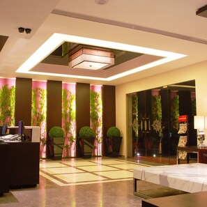 Interior entrance - Hotel Africa Avenue G K 1 (New Delhi)