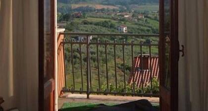 L'Uliveto