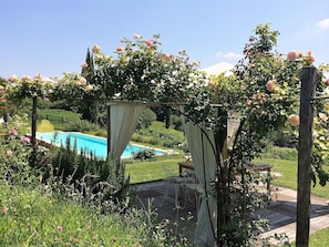Seasonal outdoor pool, sun loungers